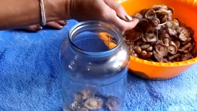 МАРИНОВАННЫЕ МАСЛЯТА | НА ЗИМУ | РЕЦЕПТ | смотреть онлайн