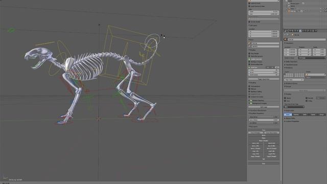X-Muscle System Cat skeleton demo смотреть онлайн