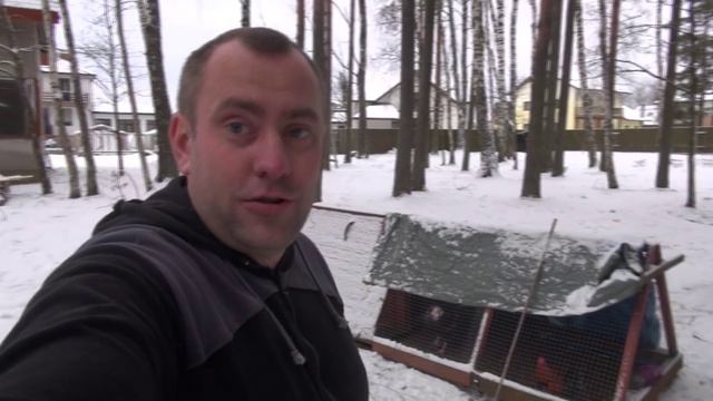 САДОВЫЙ КУРЯТНИК в зимний период смотреть онлайн