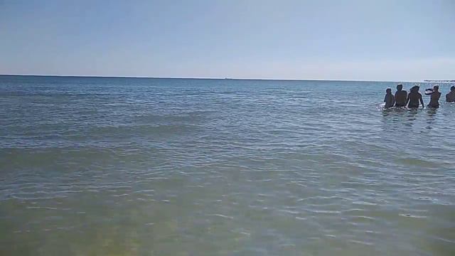 Дельфины на черном море смотреть онлайн