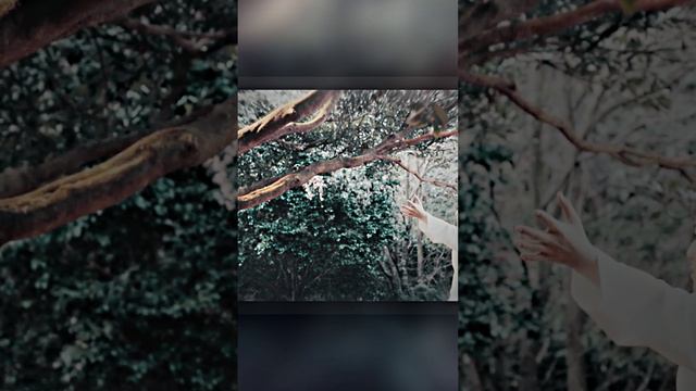 Остров - Shed My Skin смотреть онлайн