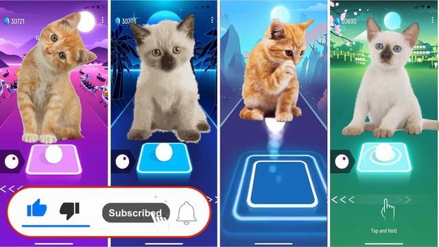 CUTE KITTY CATS | #TilesHop