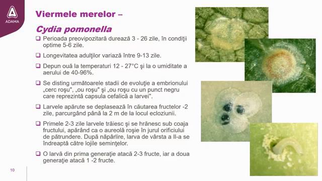 Sfatul specialistului смотреть онлайн