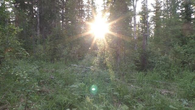 Рыбалка Охота Тайга Счастливые люди Таежное Счастье Ритм Manos mars The tunning смотреть онлайн