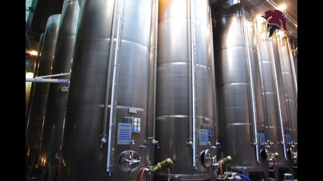 #Sidivinum in visita a #Rotari nella terra del Trentodoc смотреть онлайн