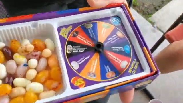 THE MOST INSANE BEAN BOOZLED CHALLENGE смотреть онлайн