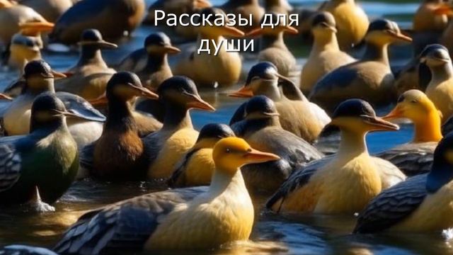 Готова была разорвать мужа за то, что он сделал с моей жизнью, но потом всё изменилось... смотреть онлайн