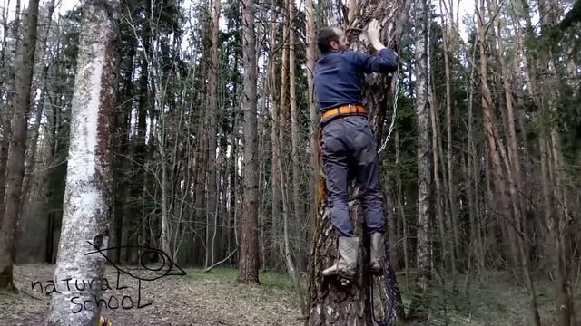 Устанавливаем тарзанку смотреть онлайн