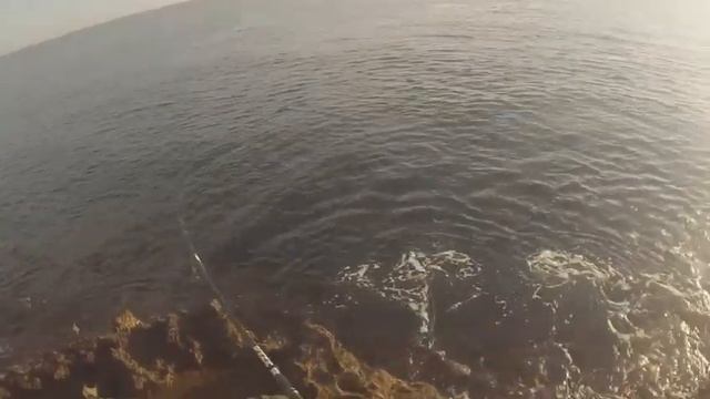 ultralight shore jigging. თევზაობა სარღანზე სპინინგით. grossa aguglia spinning. сарган на пилькер. смотреть онлайн
