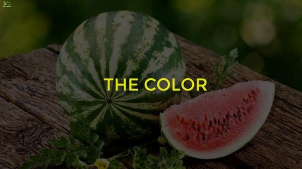 6 Brilliant Tips To Pick The Perfect Watermelon - Best Home Remedies