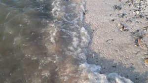 Азовское море. Приморско-Ахтарск