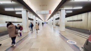 ПРОЕХАЛ ВСЁ МЕТРО МОСКВЫ ЗА 24 ЧАСА