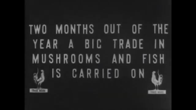 Альфред Шнитке - Alfred Schnittke, piano, Chamber Orchestra Of Georgia, Saulius Sondeckis смотреть онлайн