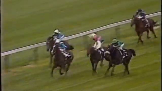 Shirley Heights at stud in 84ish смотреть онлайн