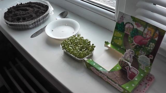 Сад принцессы. Garden Princess смотреть онлайн