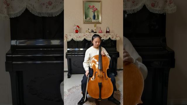 Cello Concerto No. 1 in A minor, op. 33 - 3rd movement (Saint-Saëns, Camille)——VID 20210411 195155 смотреть онлайн