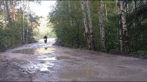 мопед Стингрей