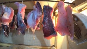 Сом холодного копчения! Очень вкусный рецепт!