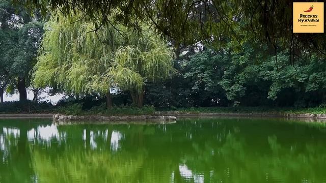 Рассказ мужчины | Измена жены. Залетела и родила от любовника. Свирепая месть мужа. Реальная истори смотреть онлайн