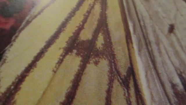 Как сшить юбку с непараллельными складками.How To Sew A Skirt With Non-parallel Folds.