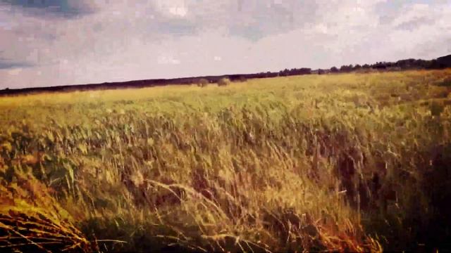 Сектор Газа - Бомж смотреть онлайн