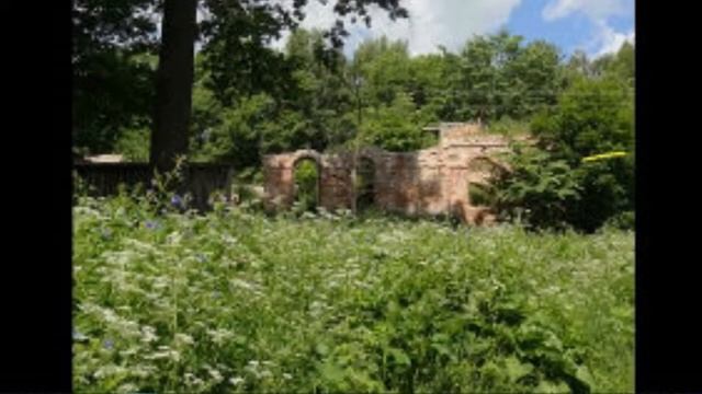 Парк Дугино смотреть онлайн