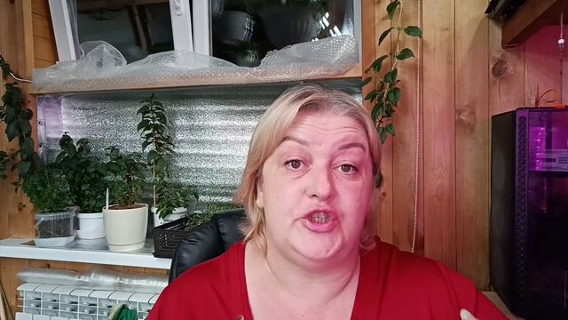 🌸А успеют ли вырасти...? 🌸Как простимулировать растение на быстрый рост? 🌸 смотреть онлайн