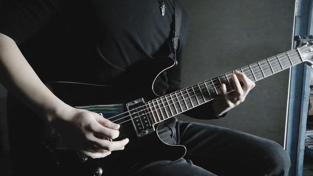 Tool - Fear Inoculum (Guitar cover) смотреть онлайн