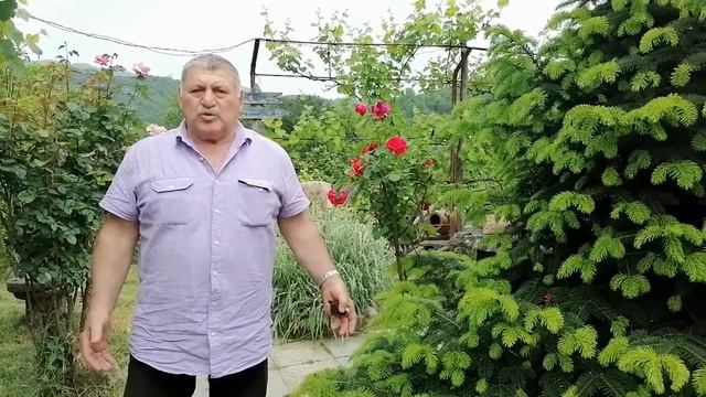 Сочинские грузины. Сочинский грузинский культурный центр "Иверия". смотреть онлайн