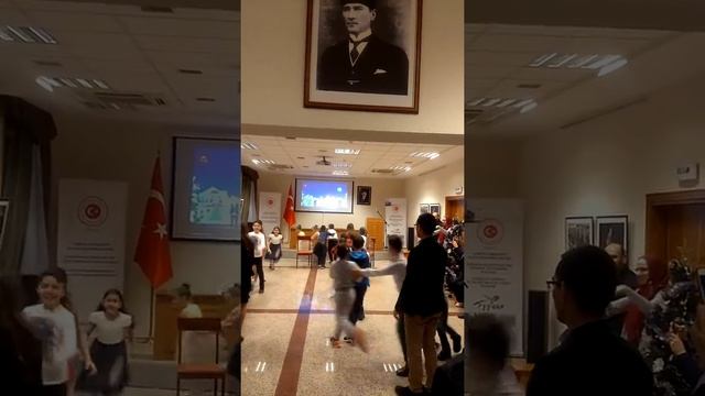 Консульство Турецкой республики. смотреть онлайн