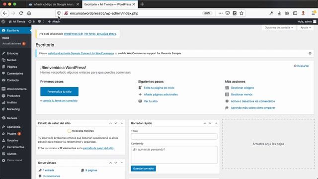Añadir código de Google Analytics sin plugins en WordPress смотреть онлайн