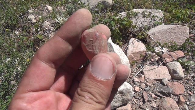 Здравствуйте всем нашел розовый гранат смотреть онлайн