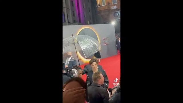 Timothée Chalamet TikTok Compilation (Тимоти Шаламе подборка ТикТок)