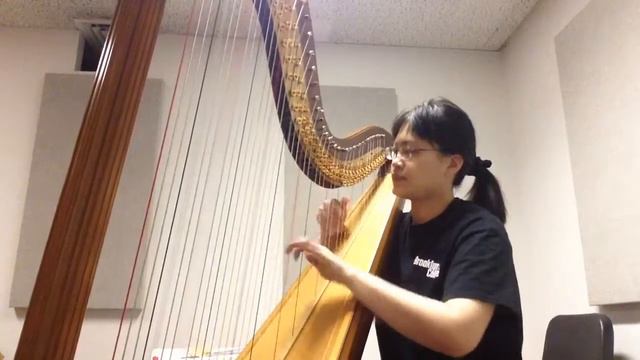 Godefroid - Carnival of Venice смотреть онлайн