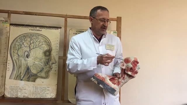 Мозговой отдел смотреть онлайн