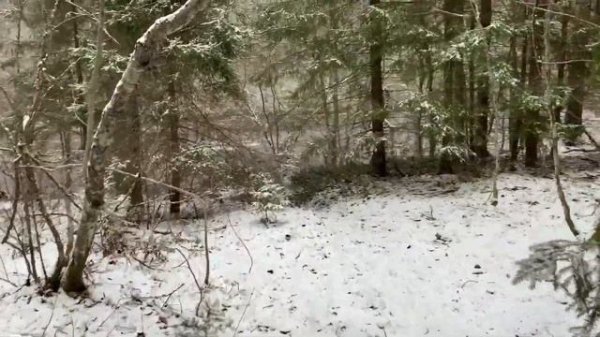 Оять 2023 - Husky Whitewater Team