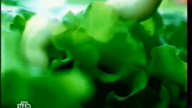 calve реклама смотреть онлайн
