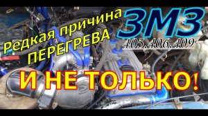 РЕДКАЯ ПРИЧИНА ПЕРЕГРЕВА двигателя ЗМЗ 405 406 Газель