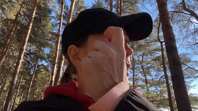 Сосновый ЛЕС 🌲 Хочу на МАЛЬДИВЫ 🇲🇻🏝✈️ МОРЕ 🌊 СОЛНЦЕ ☀️ ОКЕАН 🌍 БОЛТАЛКА 🤪 смотреть онлайн