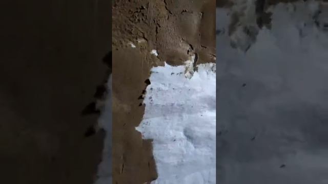 #Мажем печь#домвдеревне#своими руками смотреть онлайн