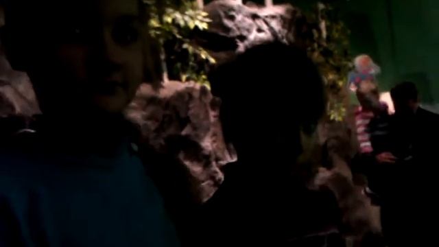 Изостудия в Питере. Январь 2012. Океанариум смотреть онлайн