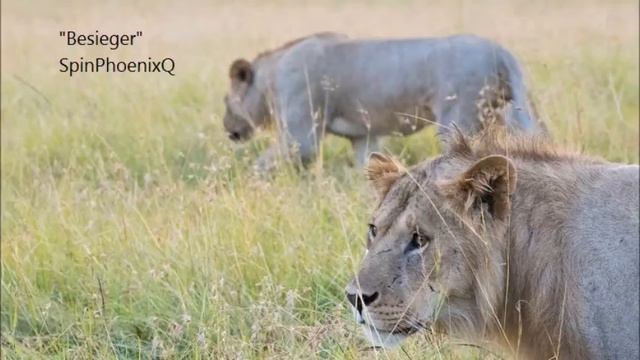 Besieger - SpinPhoenixQ смотреть онлайн