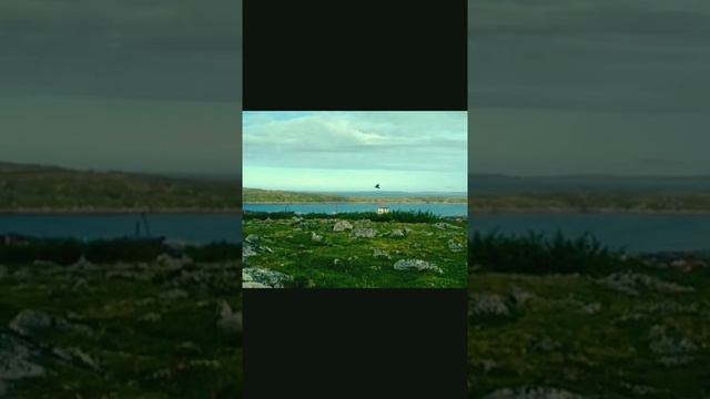 ворона каркуша смотреть онлайн