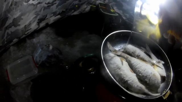 ПРОДОЛЖЕНИЕ. Ночь гнала нас домой, но мы остались! Кременчугское водохранилище. Плотва,еда,туда сюд смотреть онлайн