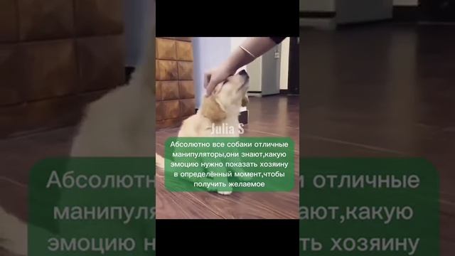 ВО СКОЛЬКО ЛЕТ ТЫ УЗНАЛ, ЧТО? смотреть онлайн