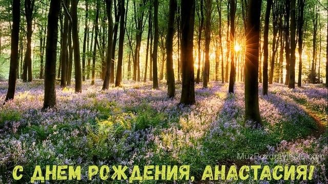 С Днем рождения, Анастасия! смотреть онлайн
