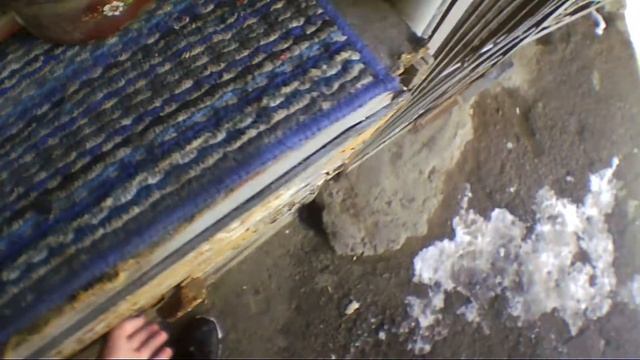 Отстрел вредителей в пару/ Охота на скворца/ Охота с пнематикой смотреть онлайн