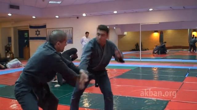 Hanebi no kata - 1st level Gyokko ryu for Akban wiki смотреть онлайн