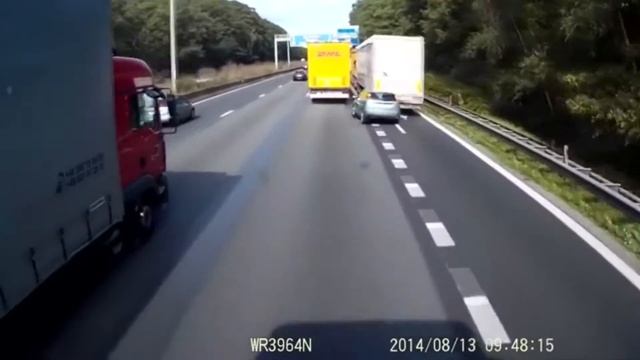 COUB-ышка 28# - ШОК!!!! Фламинго вместе с блондинкой. смотреть онлайн