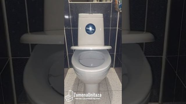 Тест смыва унитаза Sanita Марс Косой Выпуск Безободковый смотреть онлайн